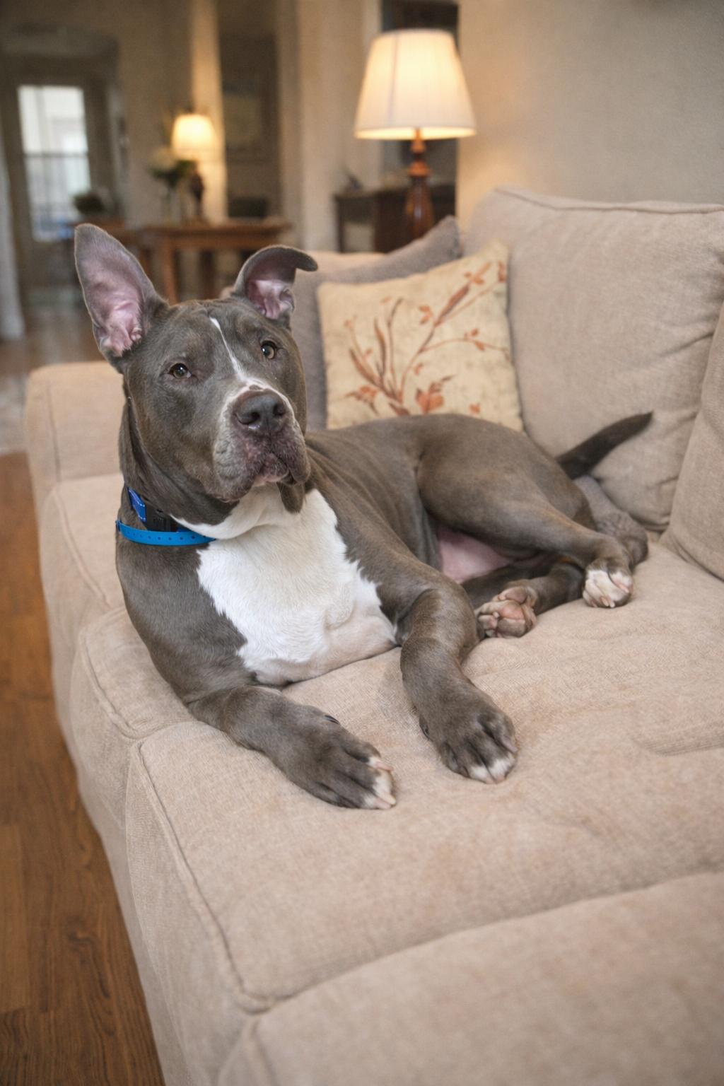 Lotta — thumbnail 4