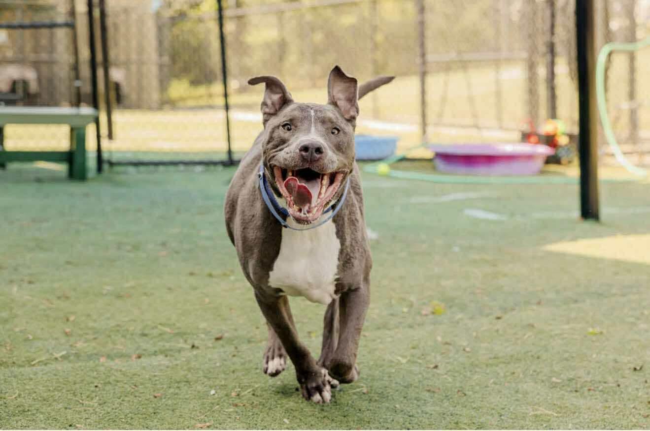 Lotta — thumbnail 6