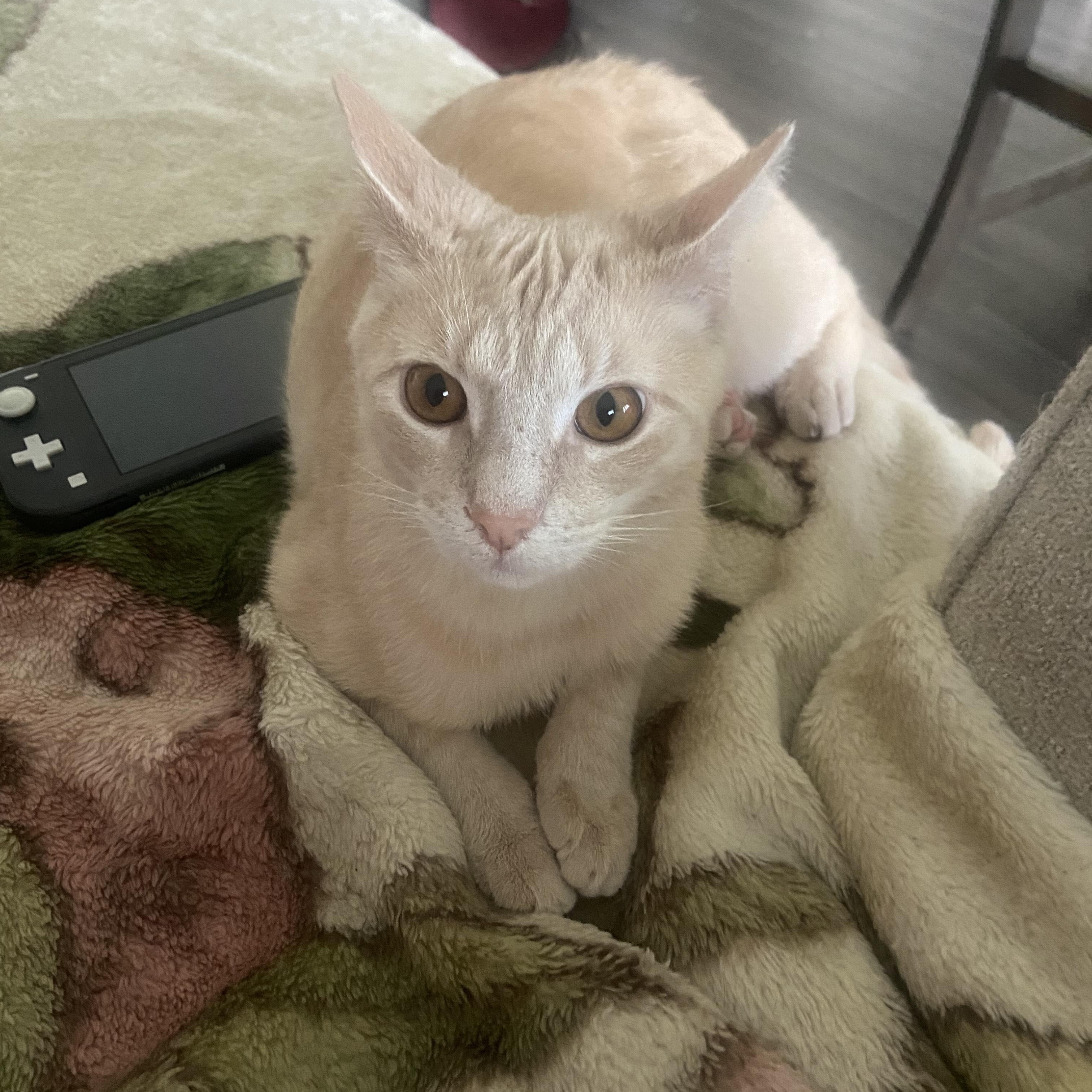 Gabriel photo 3