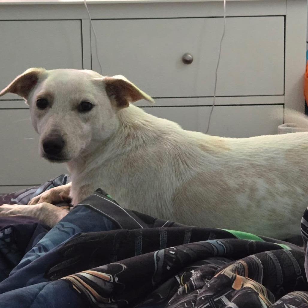 Jude — thumbnail 4