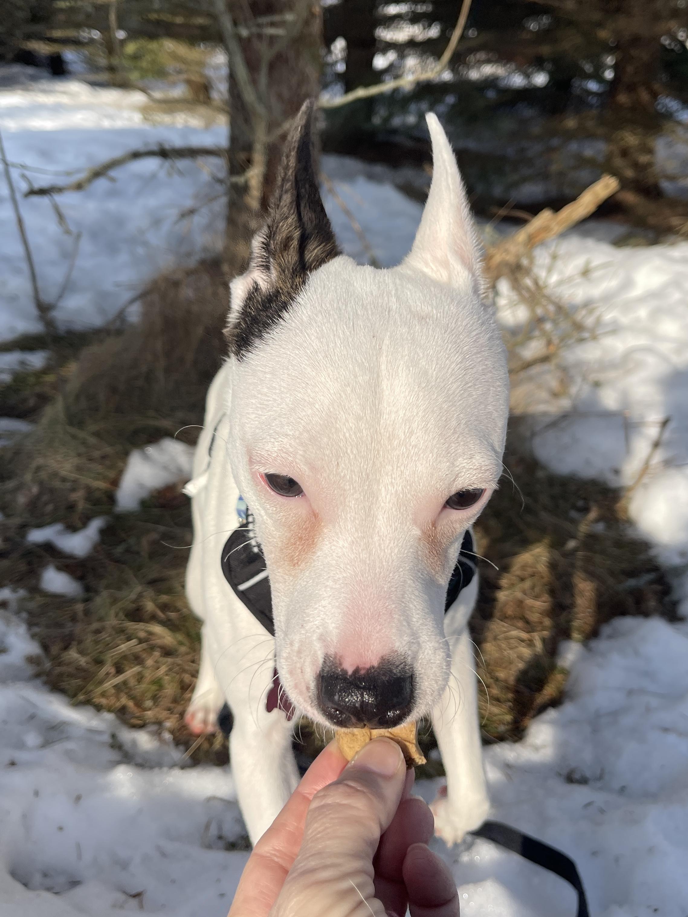 Jewel — thumbnail 4