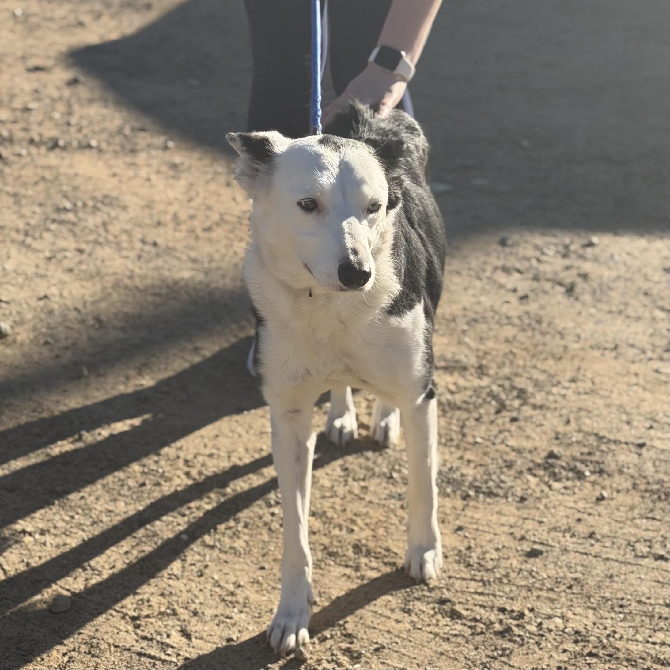 Maggie — thumbnail 5