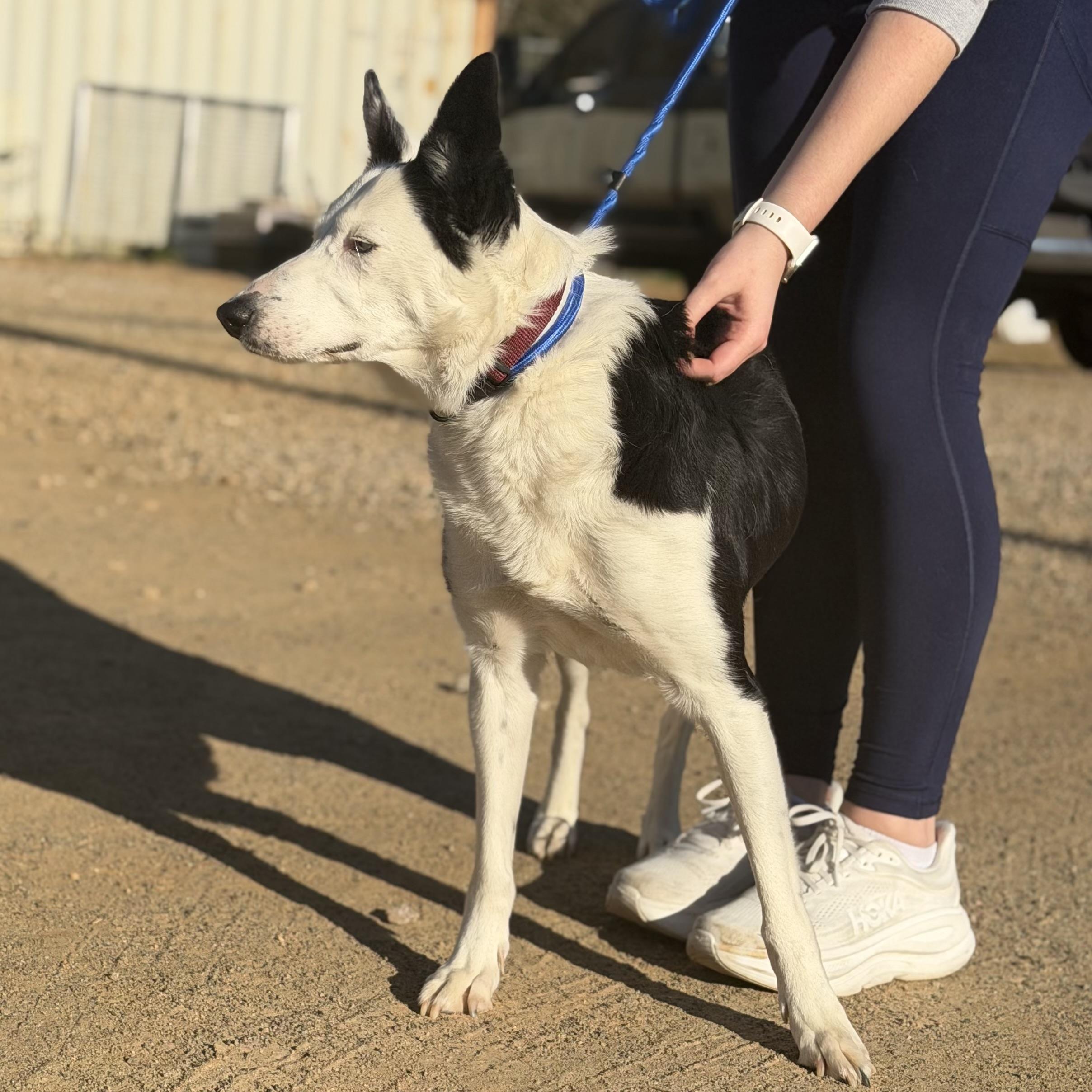 Maggie — thumbnail 6