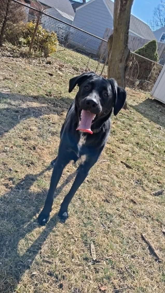 Bruce Marvel — thumbnail 2