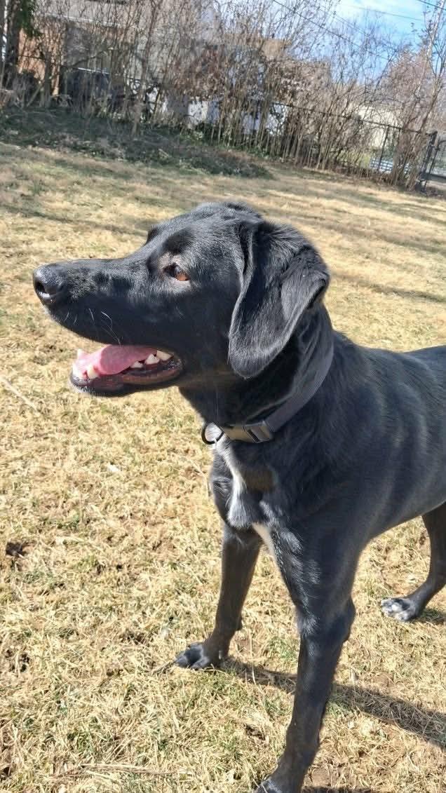 Bruce Marvel — thumbnail 3