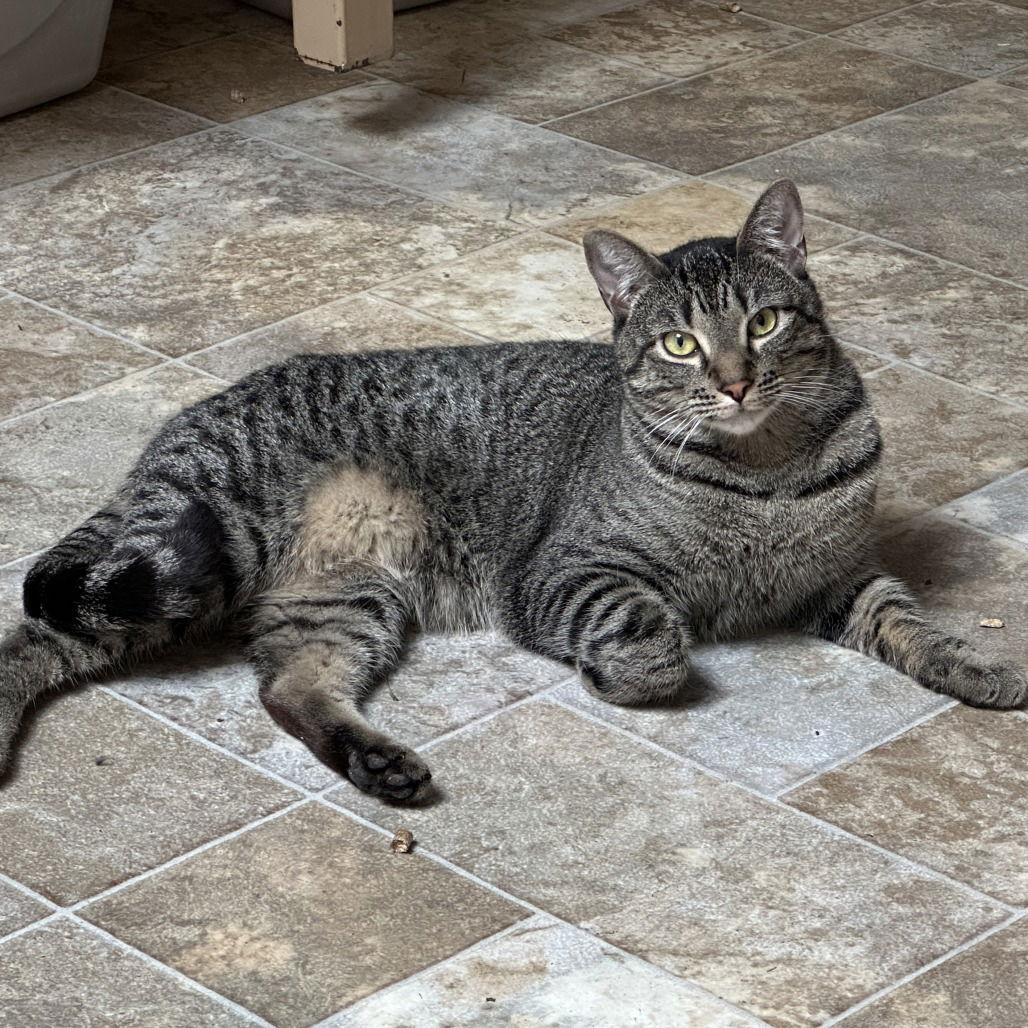 Barry — thumbnail 2