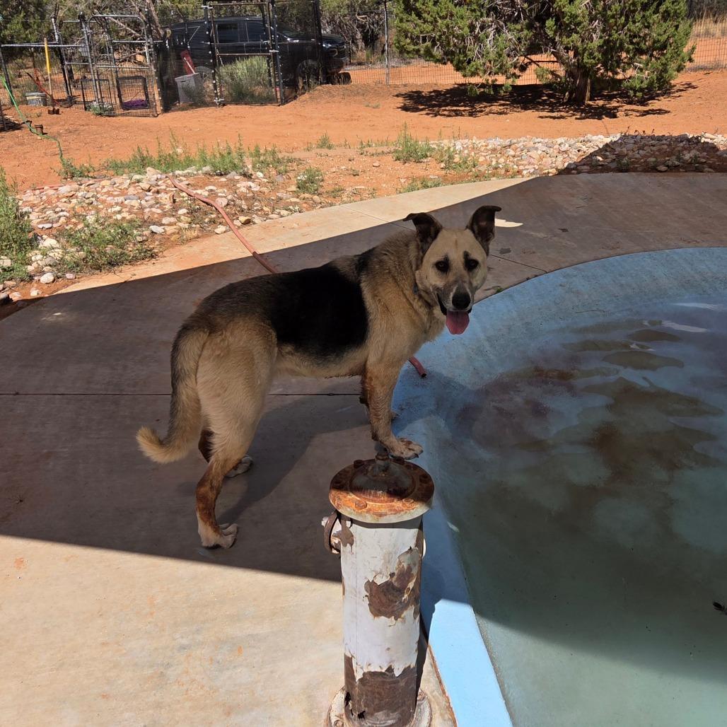 Zuko — thumbnail 3