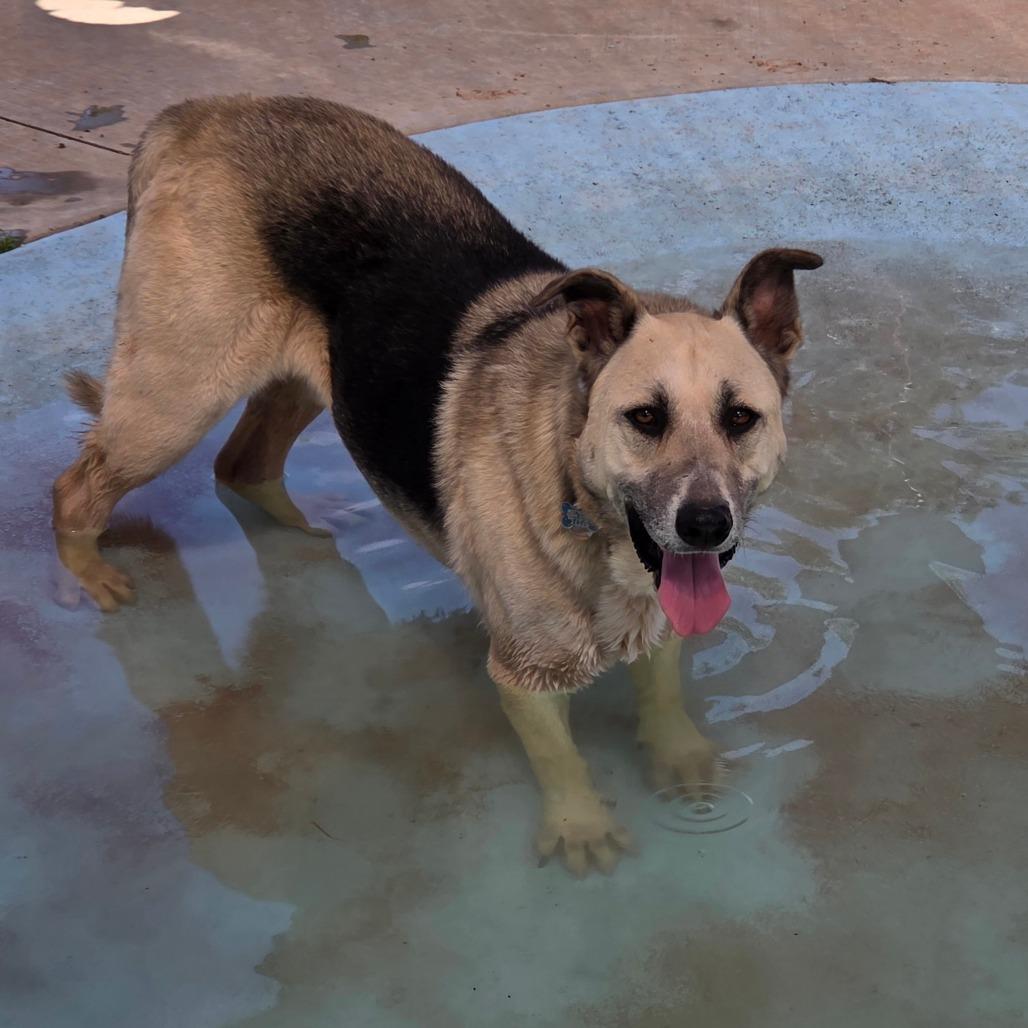 Zuko — thumbnail 4