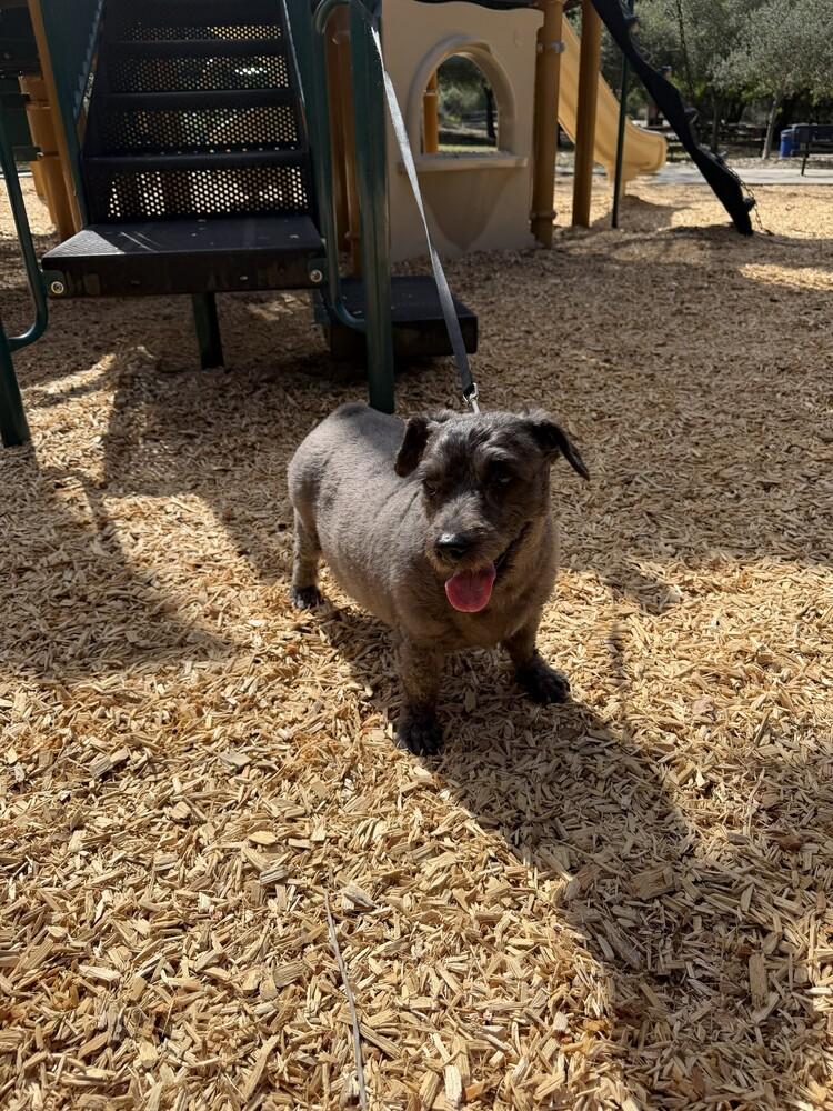 Freddy — thumbnail 3