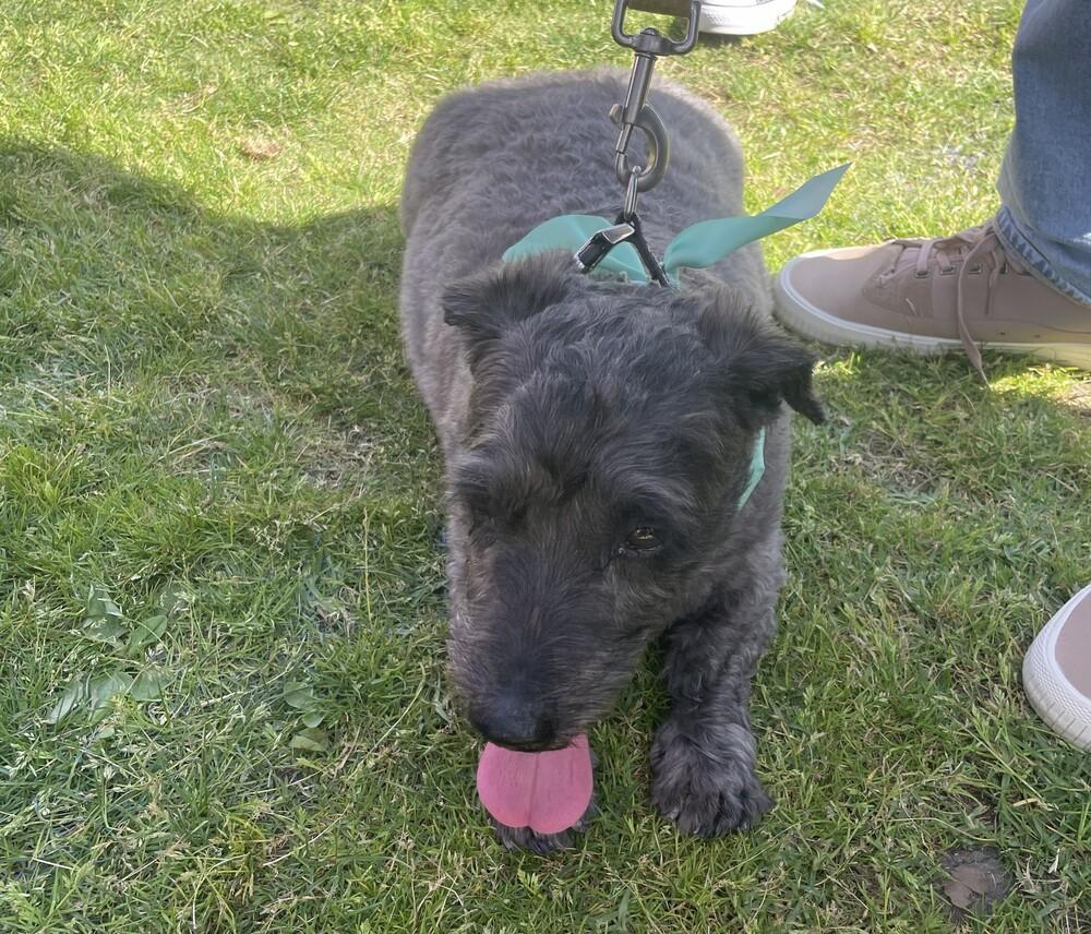 Freddy — thumbnail 4