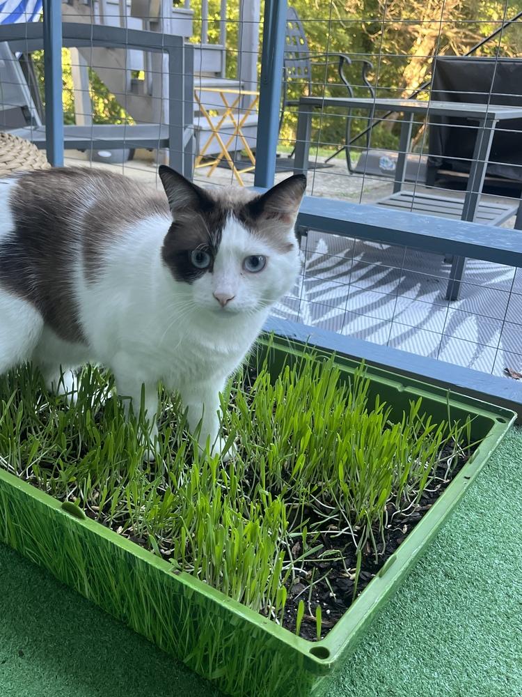 Caneread My Bio Before thumbnail 4