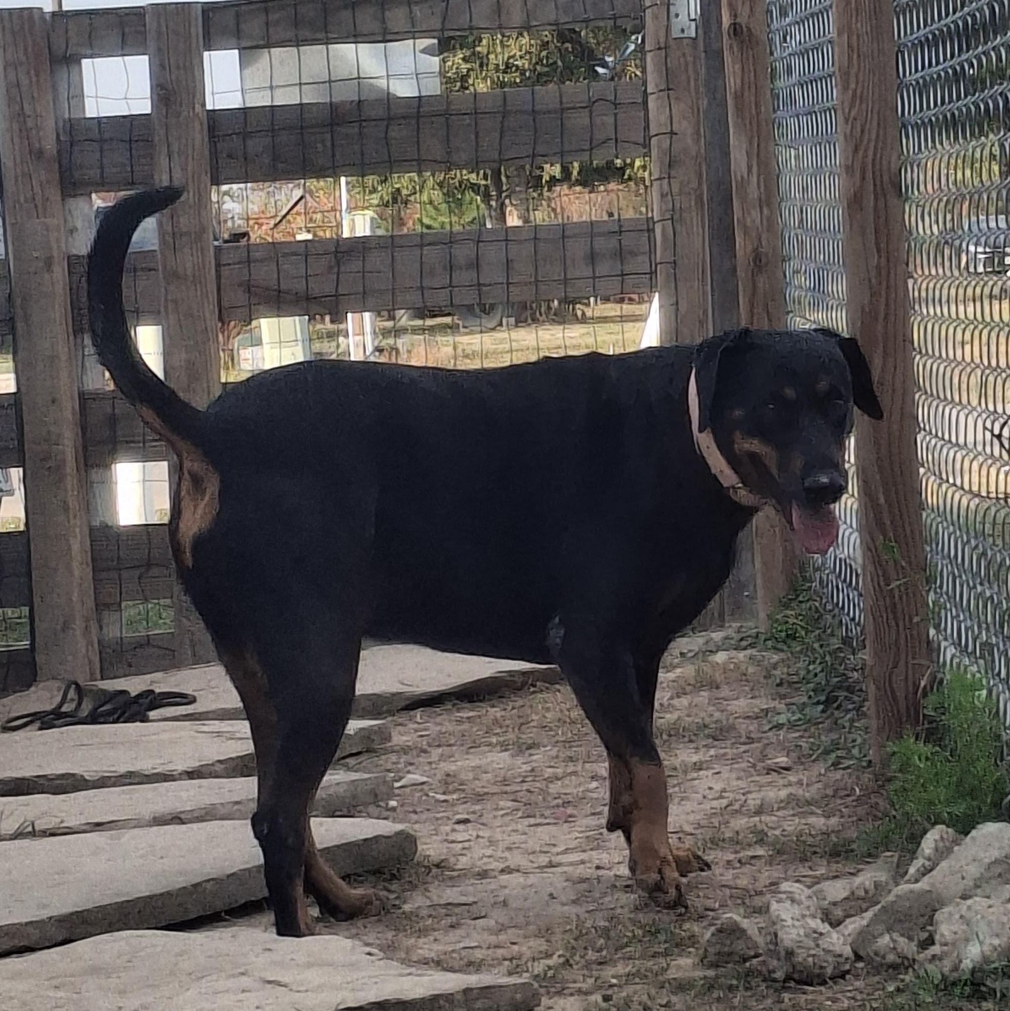 BABY — thumbnail 2