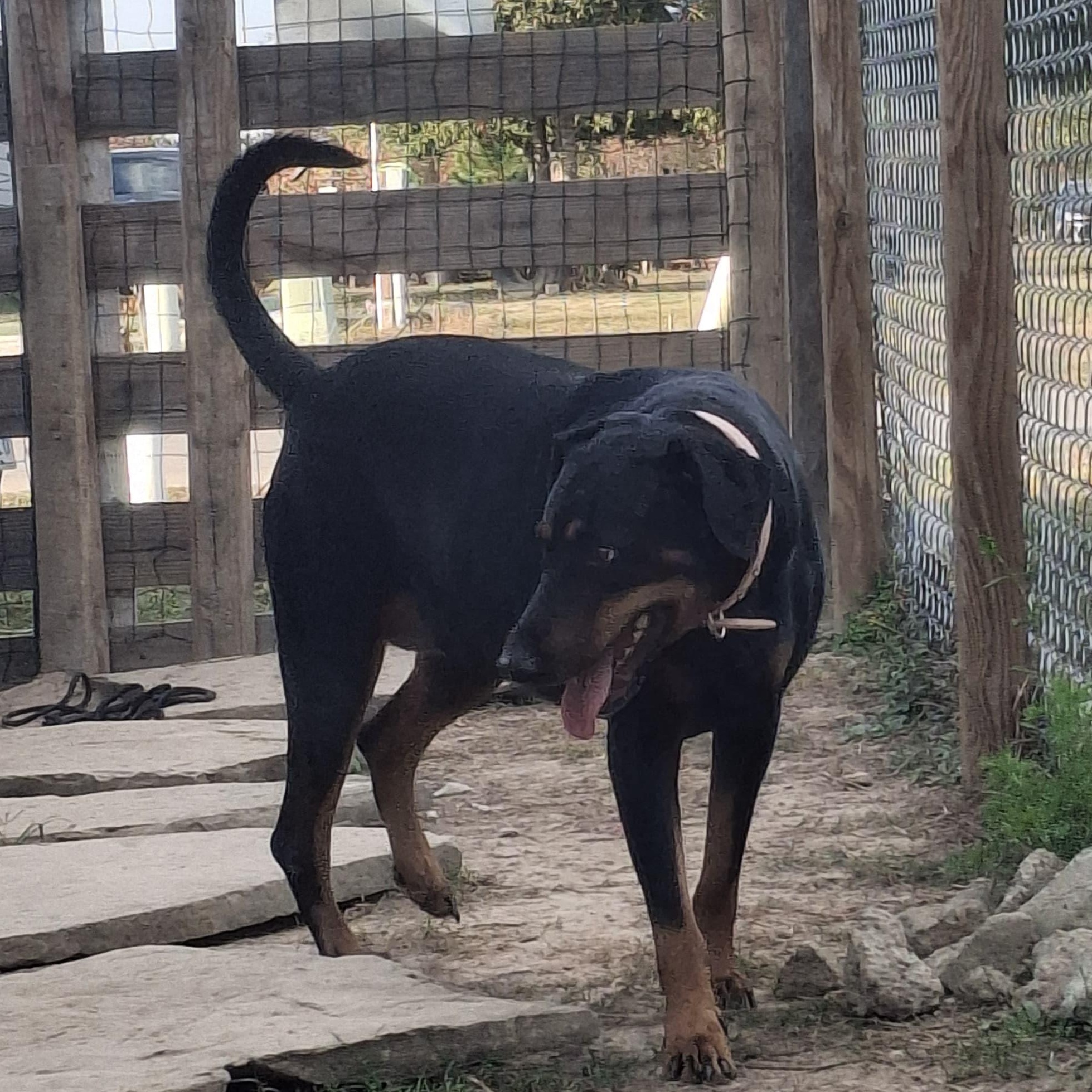 BABY — thumbnail 3