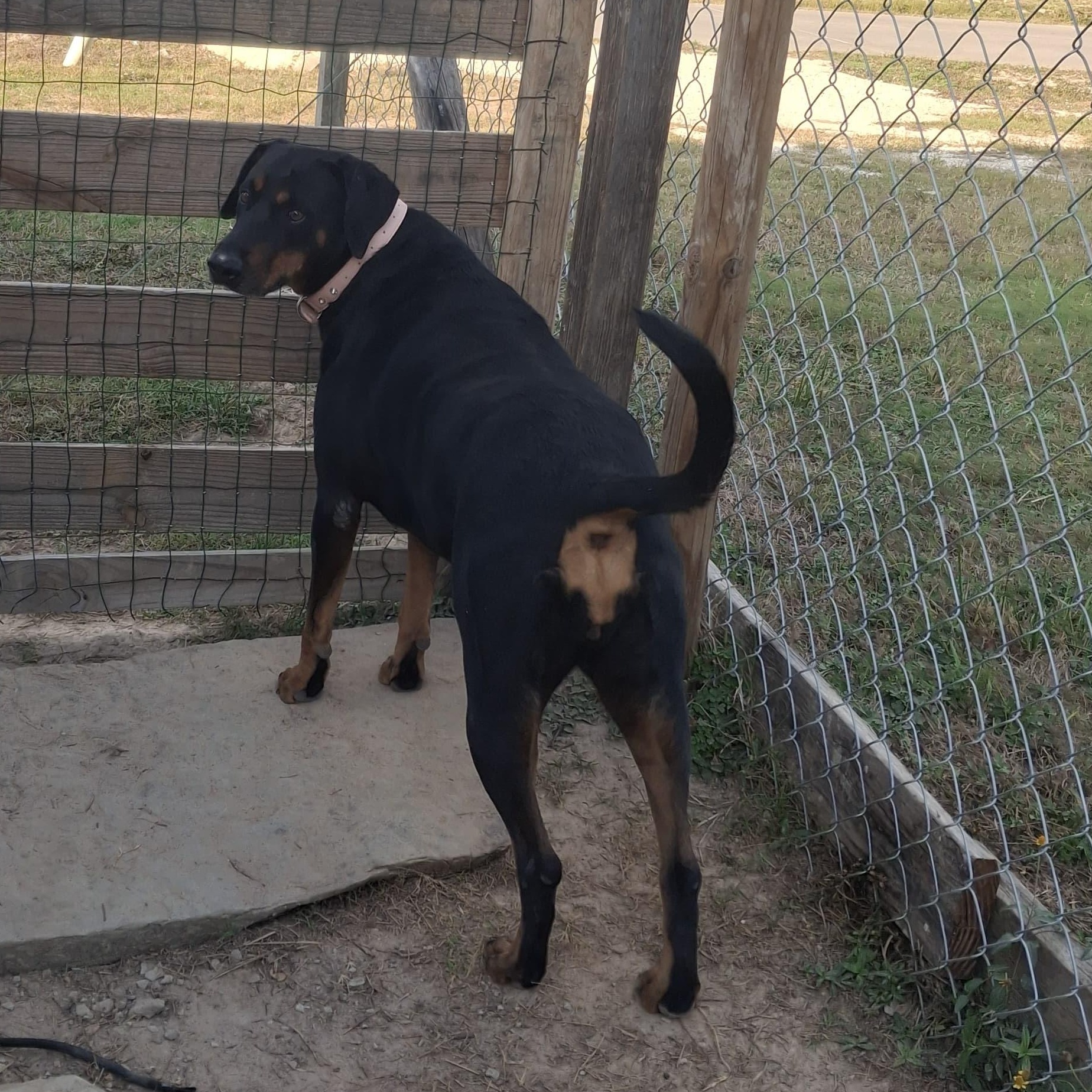 BABY — thumbnail 4