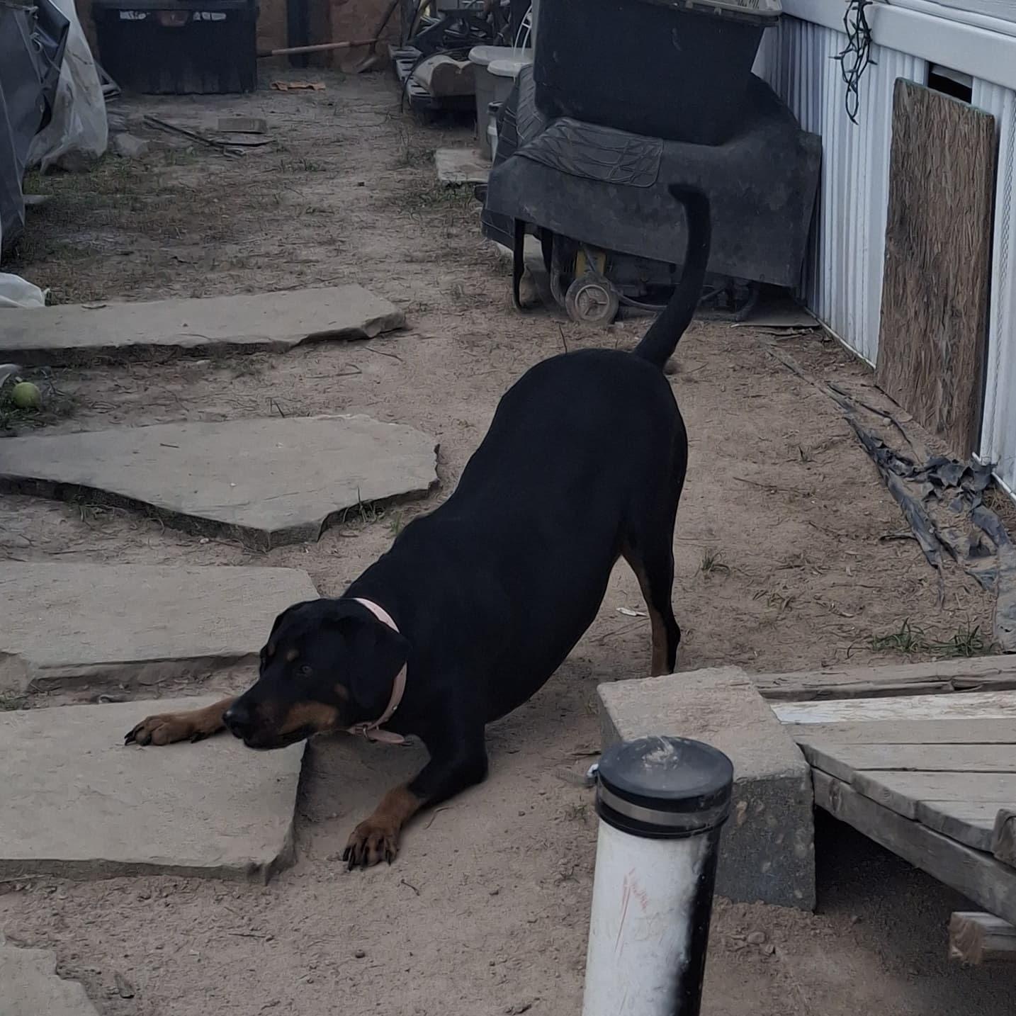 BABY — thumbnail 5