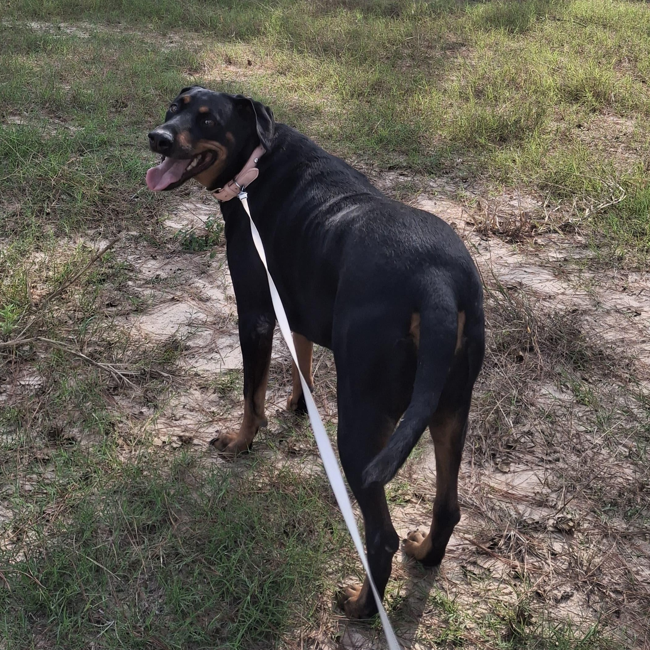 BABY — thumbnail 6