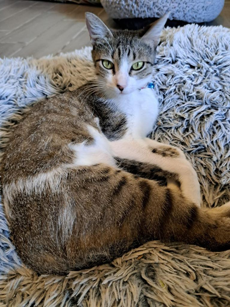 Mili