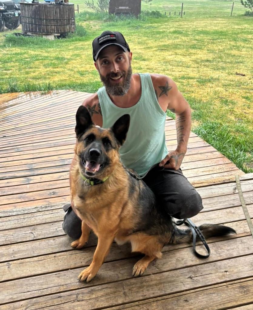 Ruben, Adoptable, Adult Male German Shepherd Dog & Mixed Breed.