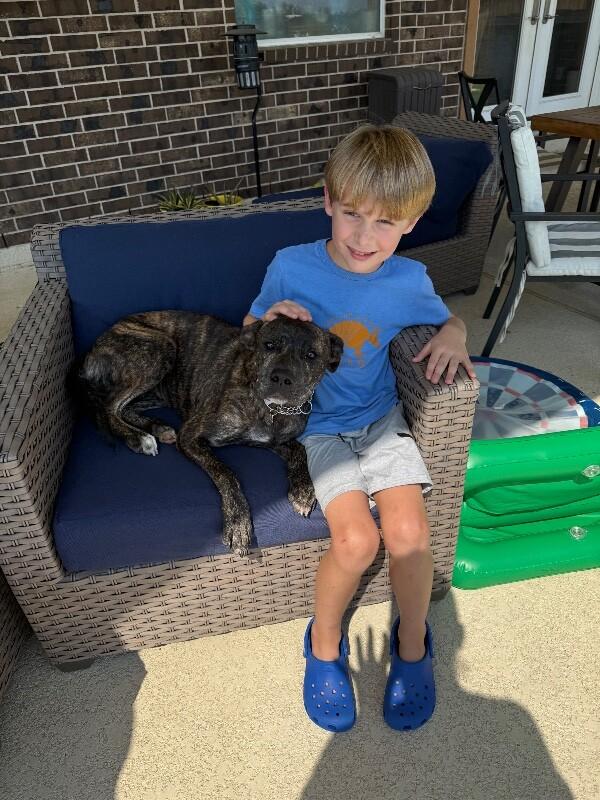 Cupcake the ball-loving, snuggle bug — thumbnail 2