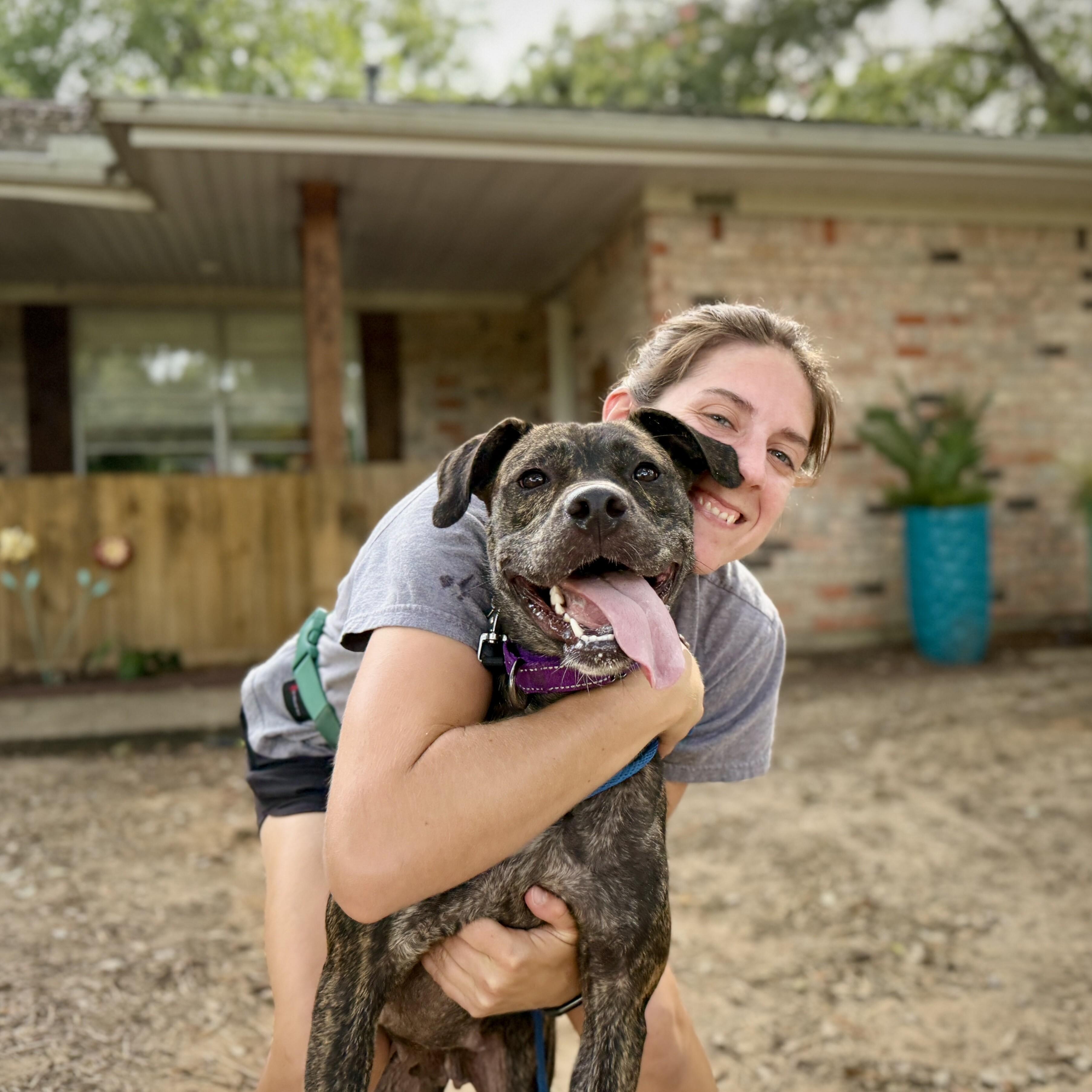 Cupcake the ball-loving, snuggle bug — thumbnail 4