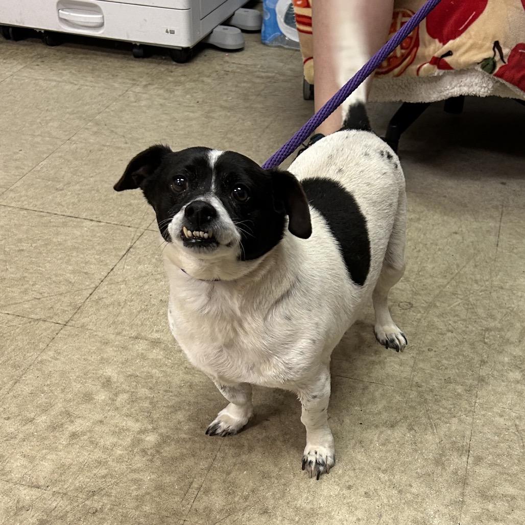 Manny — thumbnail 2