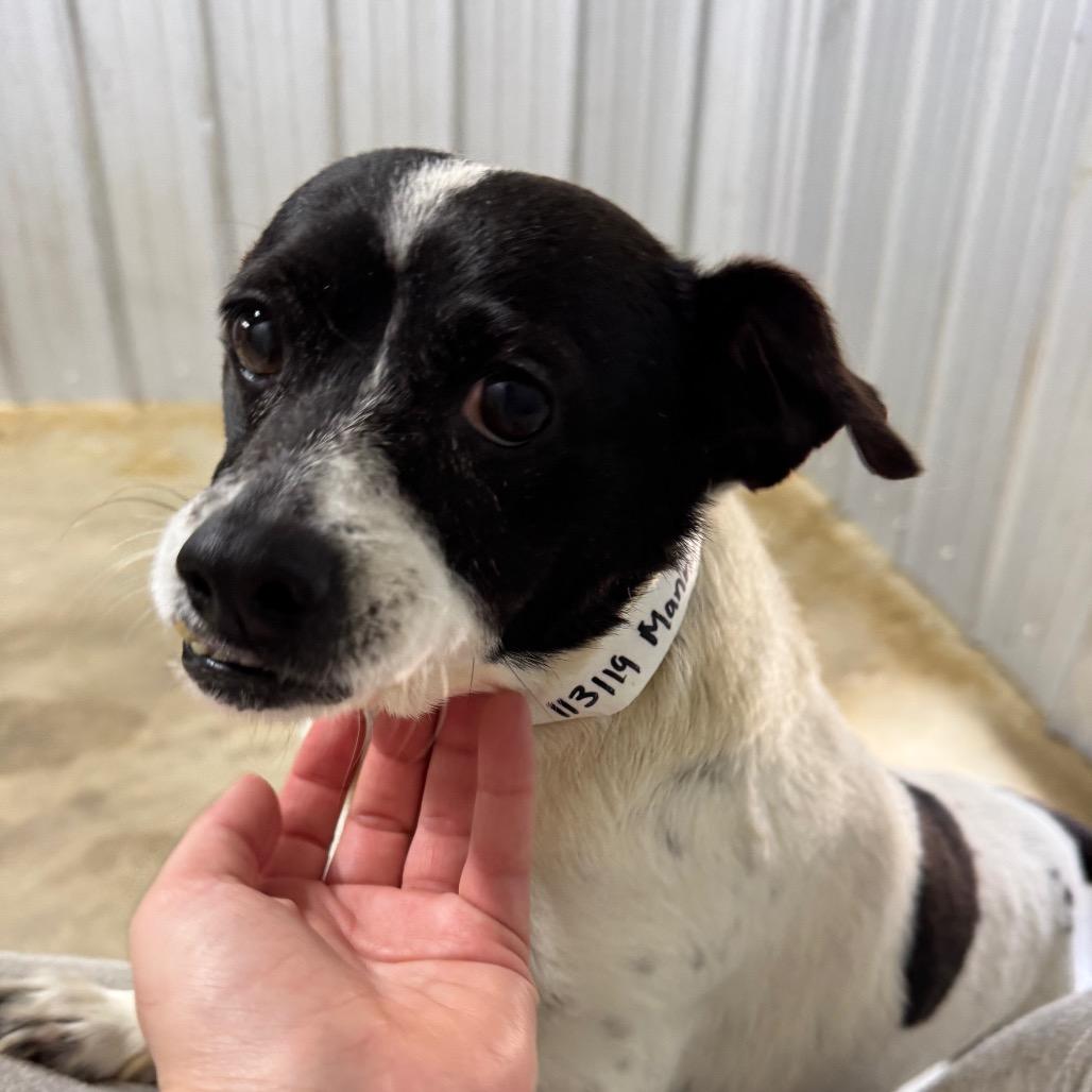 Manny — thumbnail 3