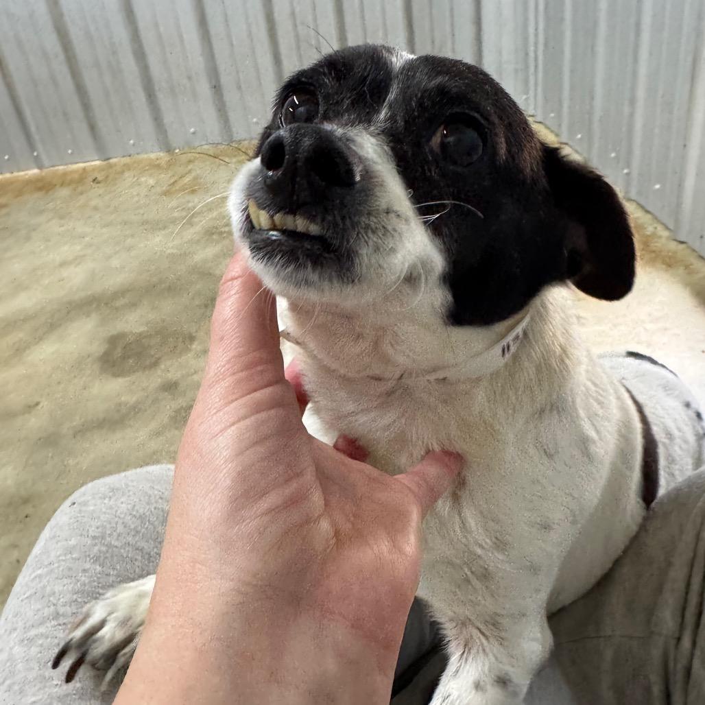 Manny — thumbnail 4