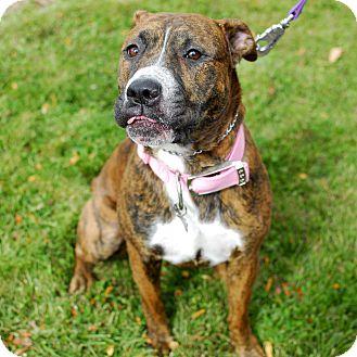 Daisy Mae photo 2