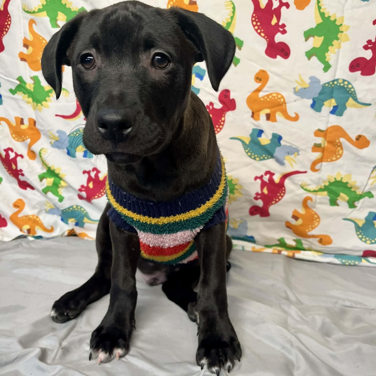 Rivet From The Fastener thumbnail 4