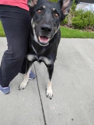 Little Bear (155766)