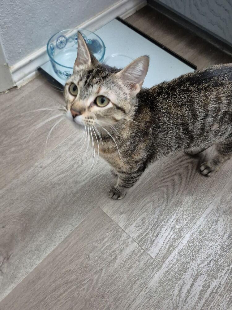 Rosie Riveter — thumbnail 2