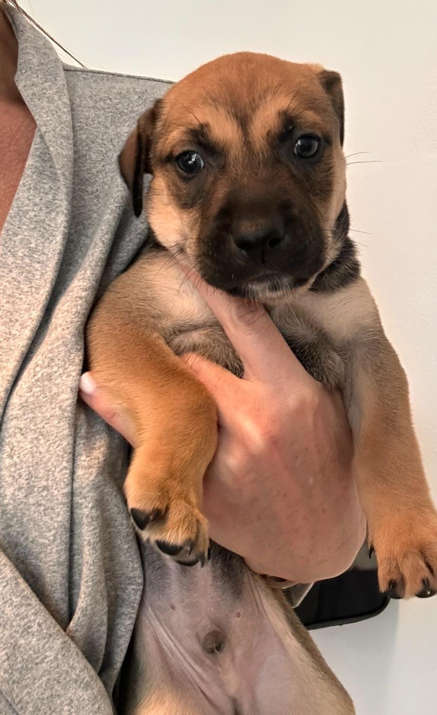 Pike  The Cuddle thumbnail 2