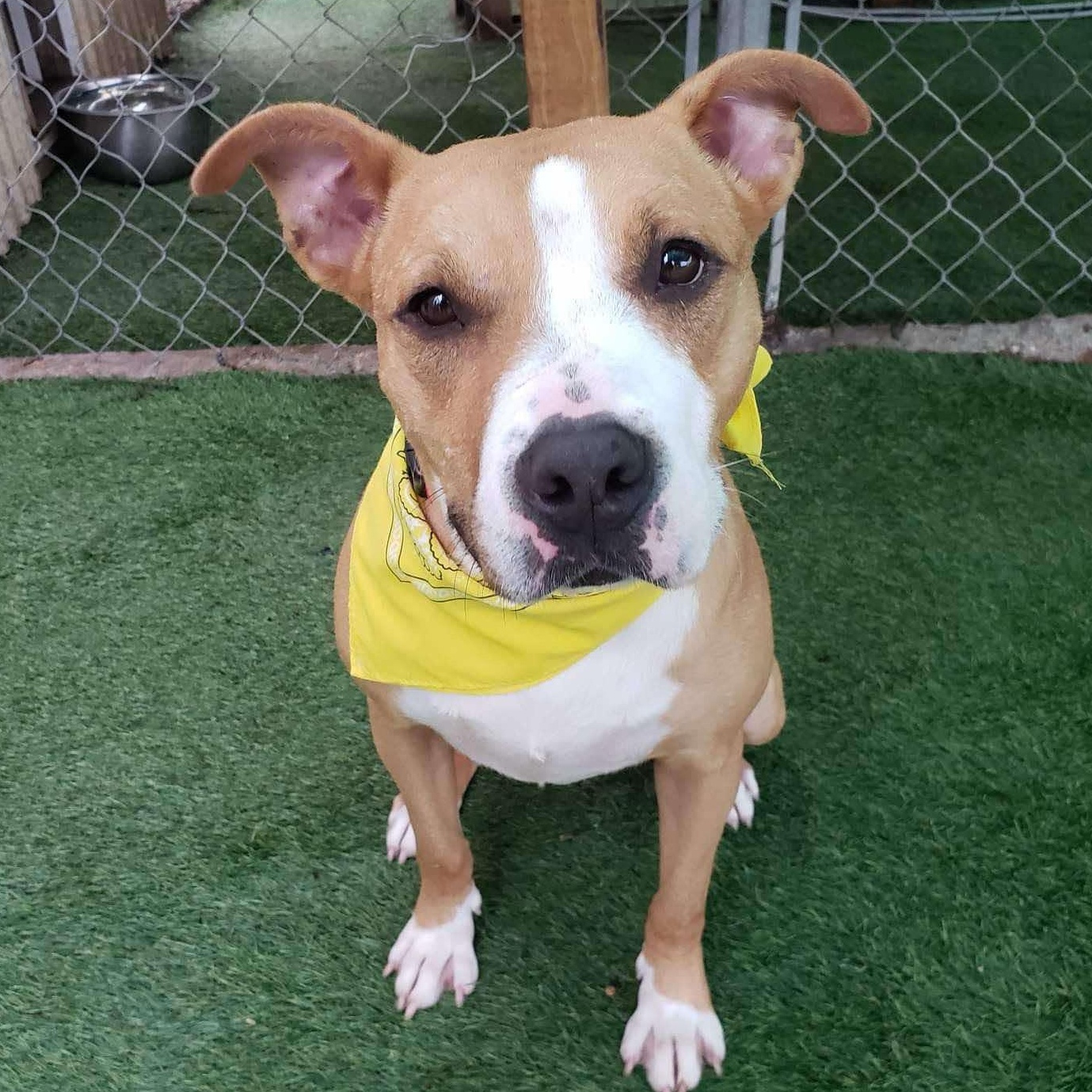 Delanie — thumbnail 3