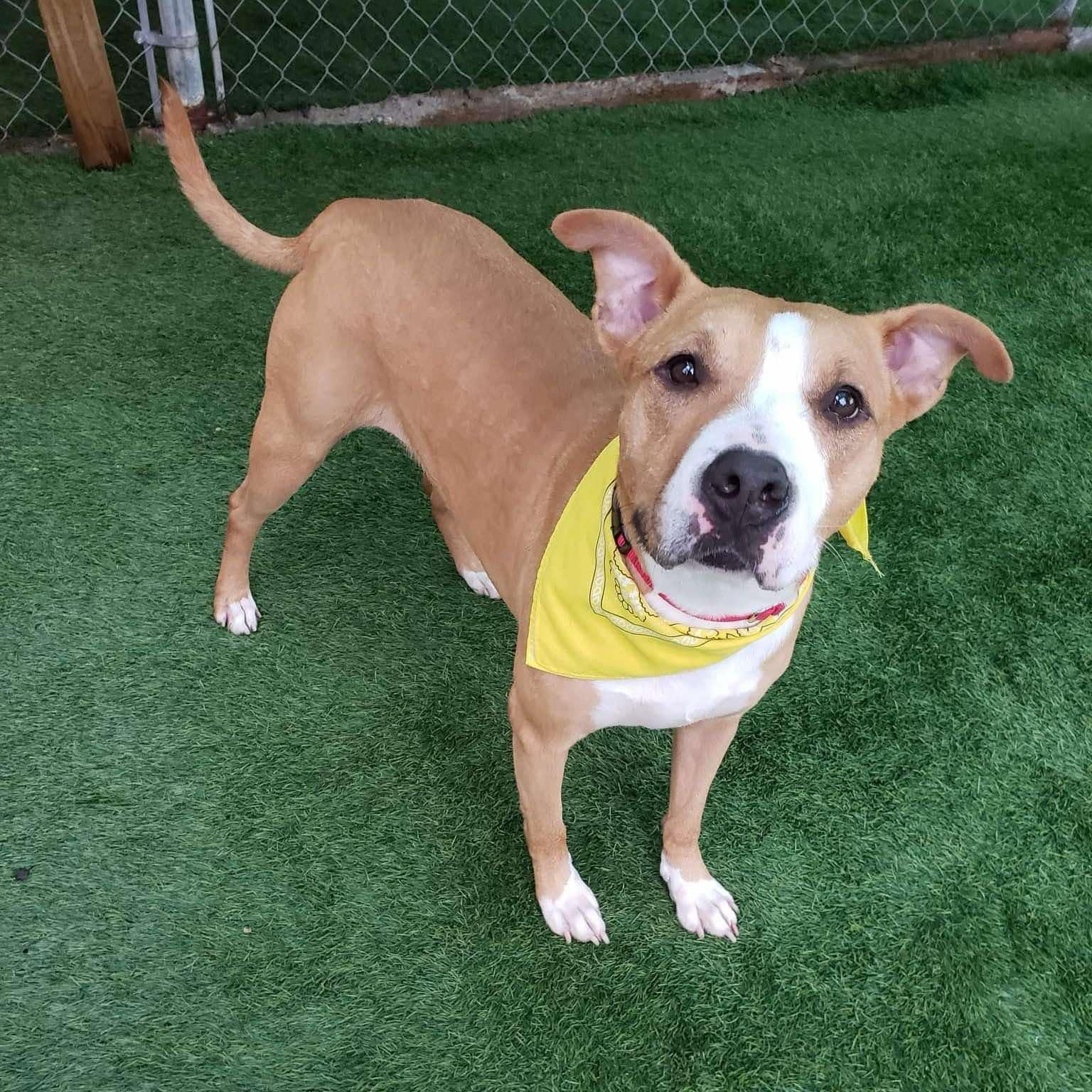 Delanie — thumbnail 4