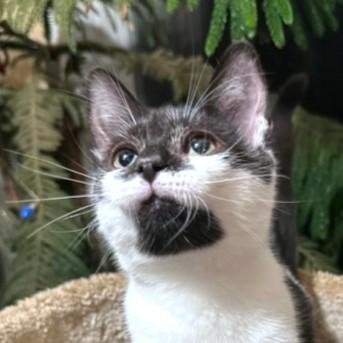 Kahlua  Sip Of thumbnail 4