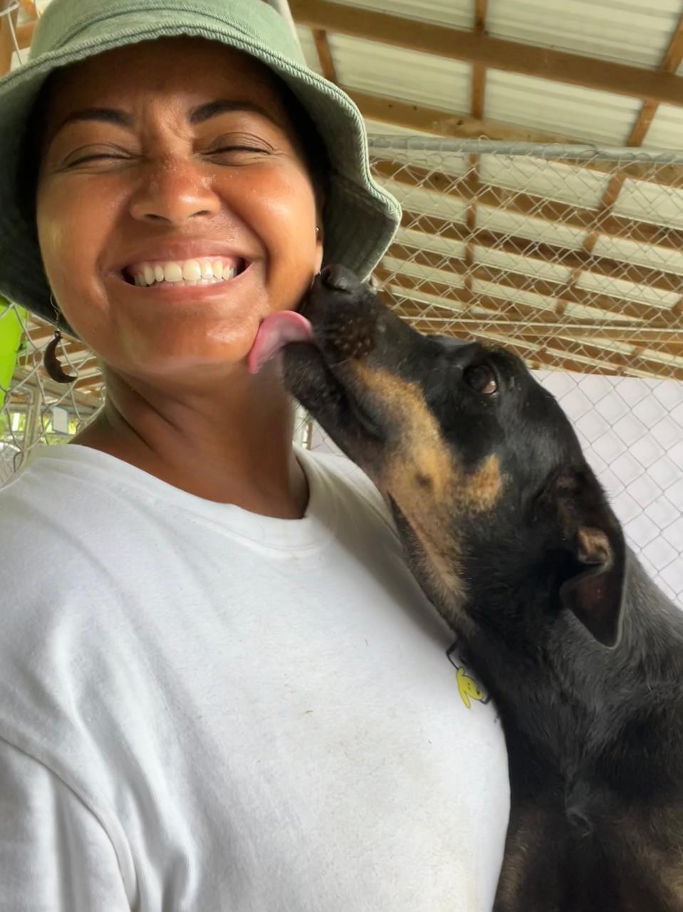 Enlarge Arc, a Adopted mixed breed in St Catharines, ON image 3/4