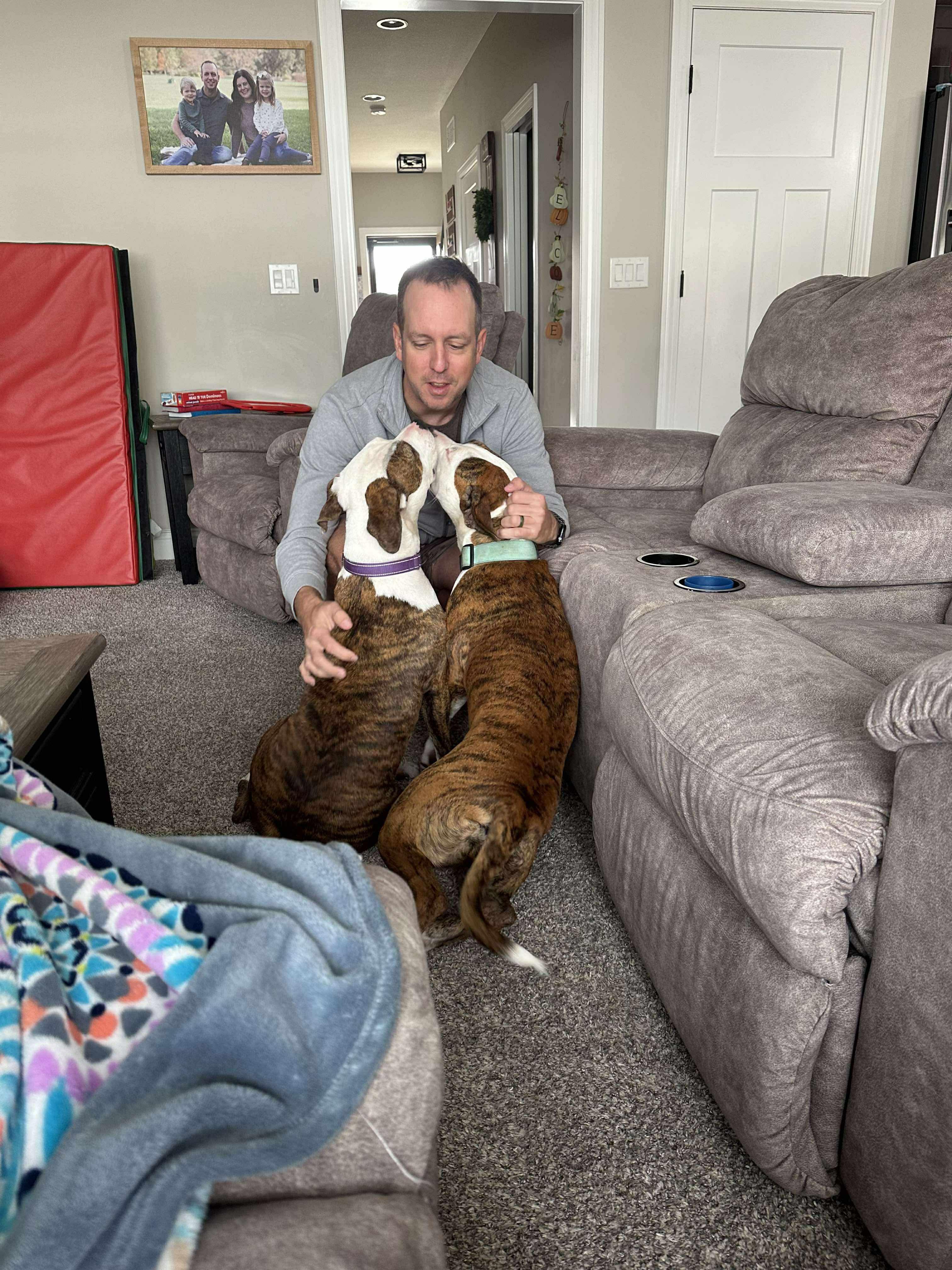 TT Tilly, a Adoptable mixed breed in Tuscola, IL image 2/4