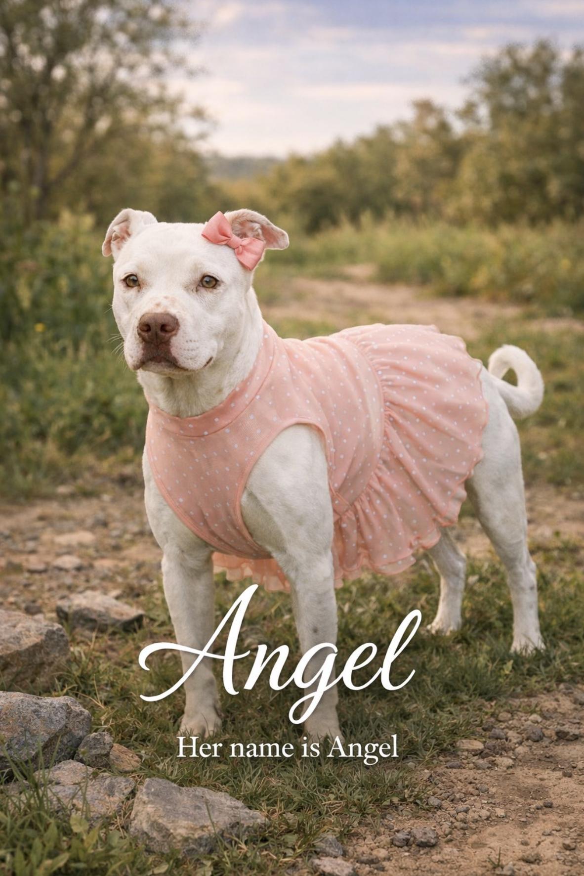 Angel — thumbnail 2