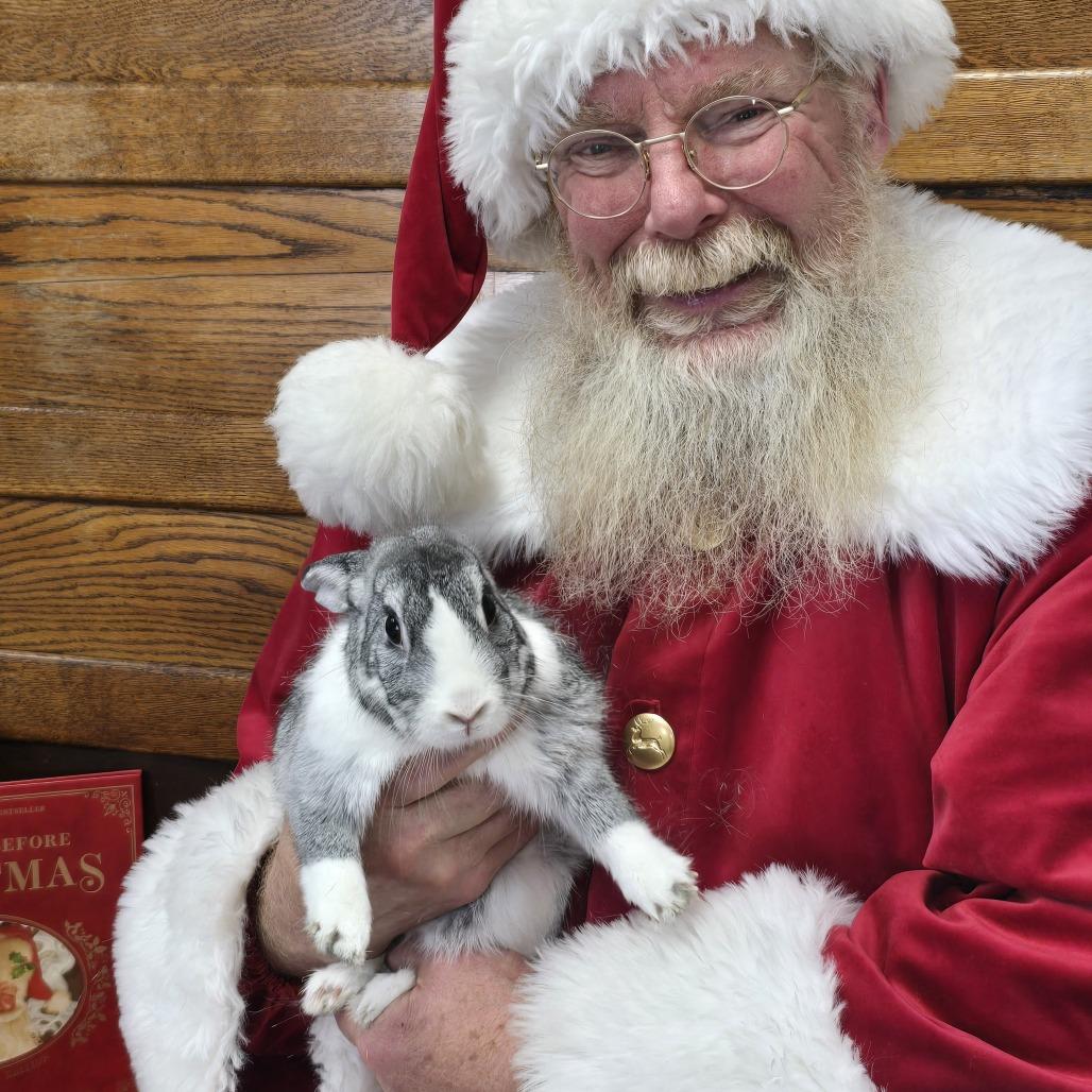 Trexler, a Adoptable Netherland Dwarf in Quakertown, PA image 5/6