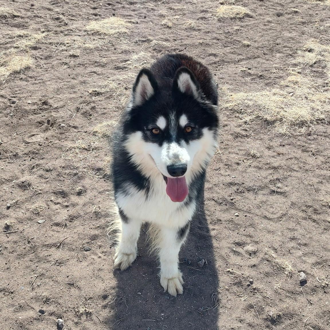 Max photo 3