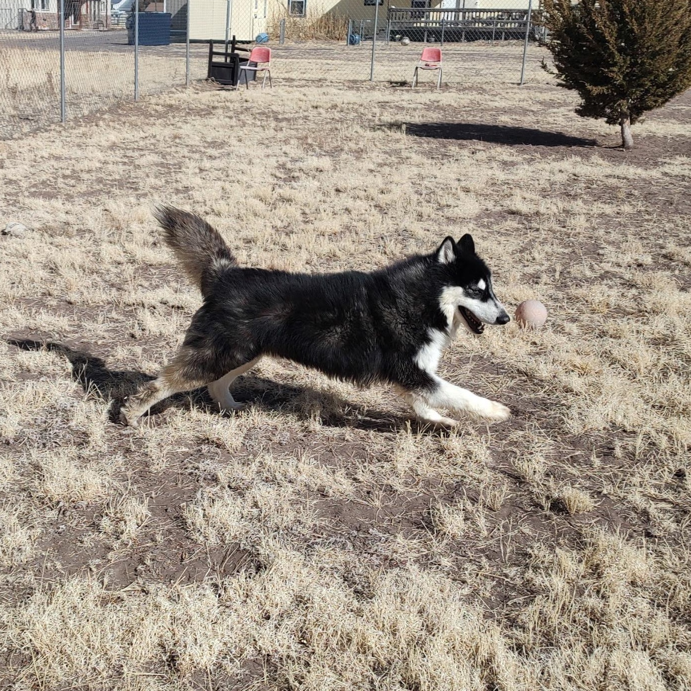 Max photo 2