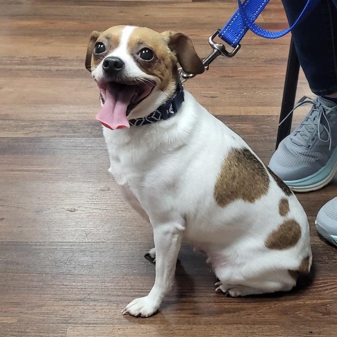 Gretchen thumbnail 4