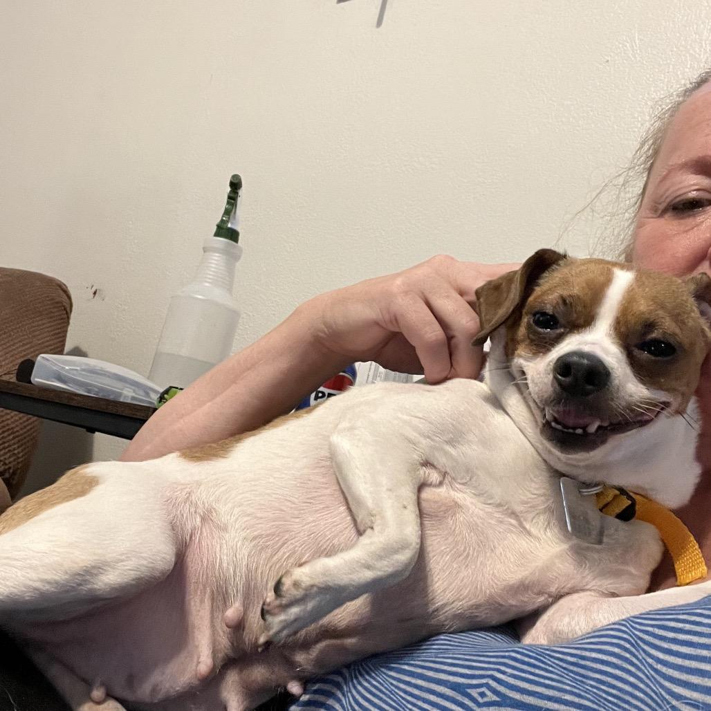 Gretchen thumbnail 5