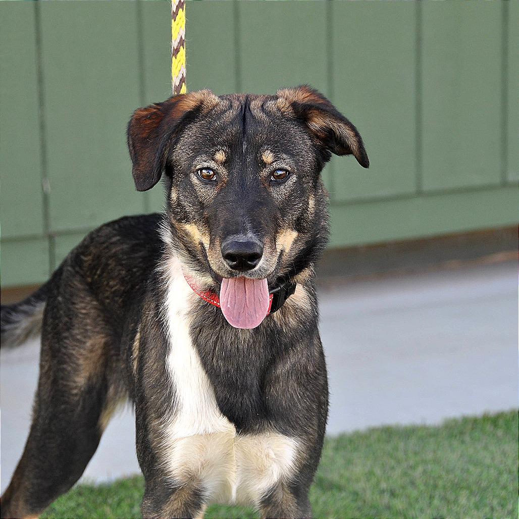 Mocha — thumbnail 2