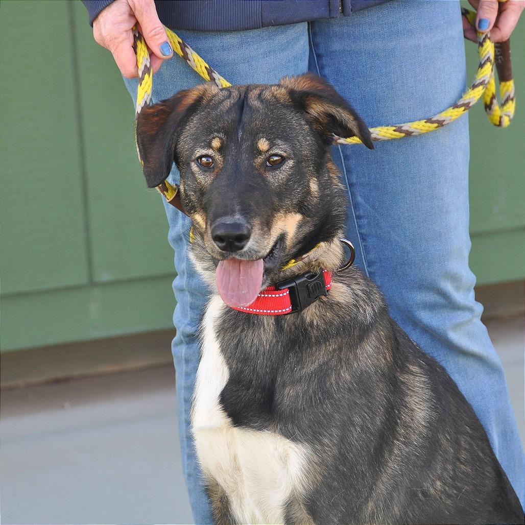 Mocha — thumbnail 4