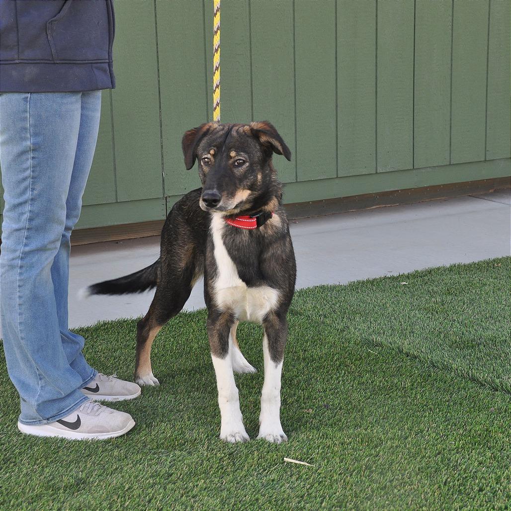 Mocha — thumbnail 5