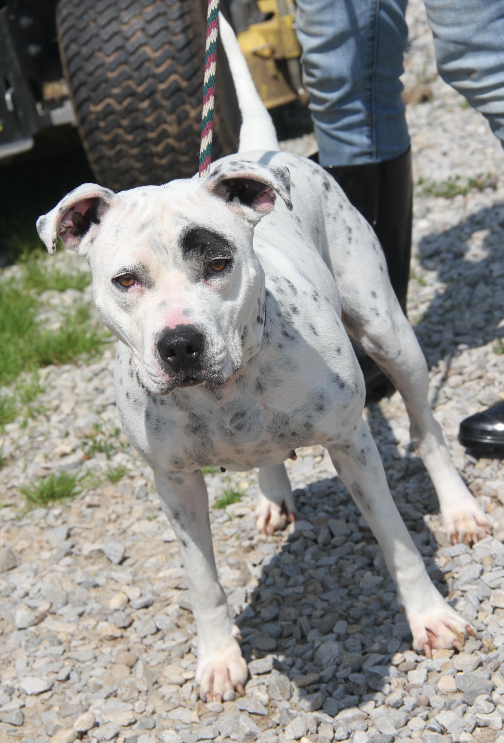 Sapphire thumbnail 3