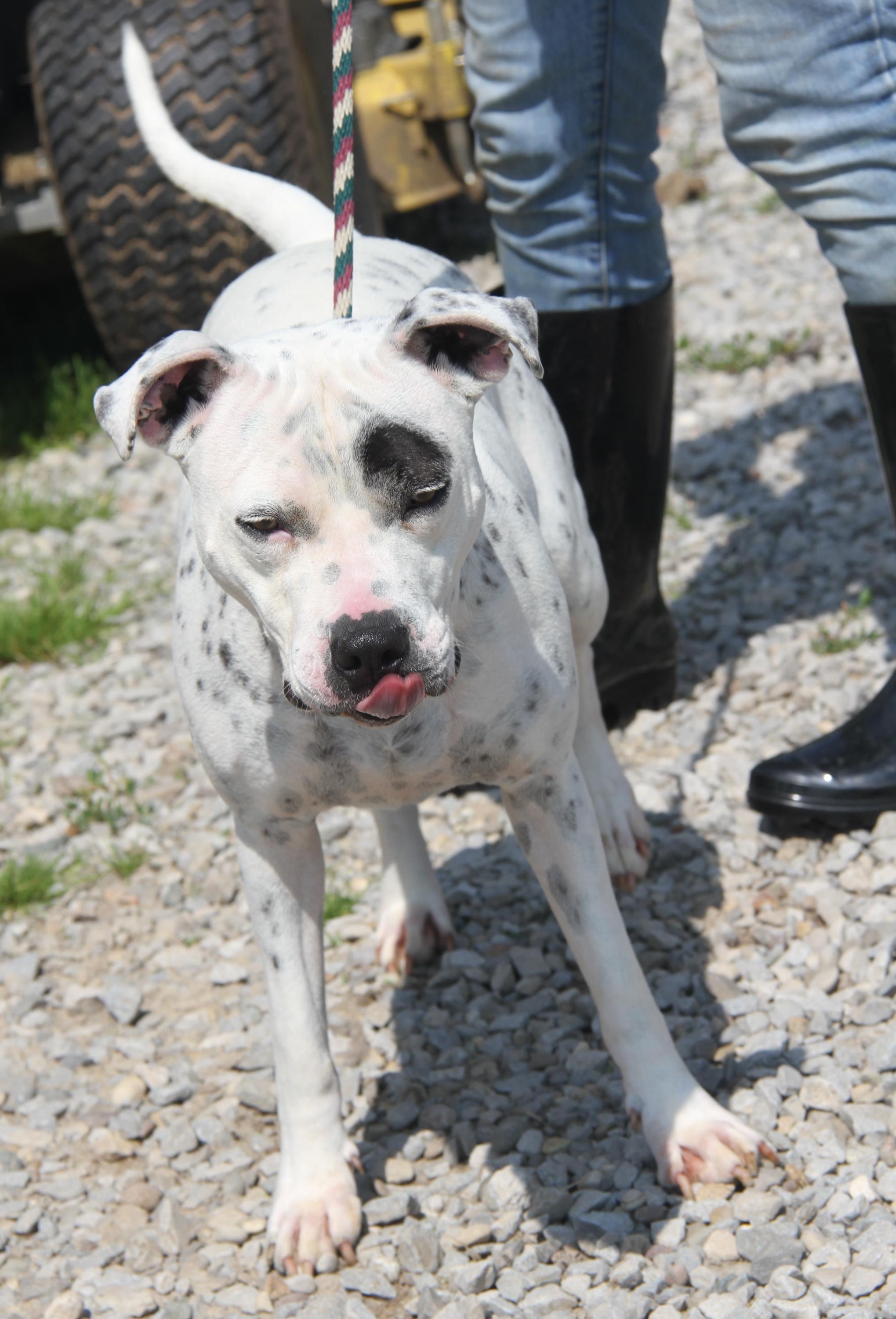 Sapphire thumbnail 4