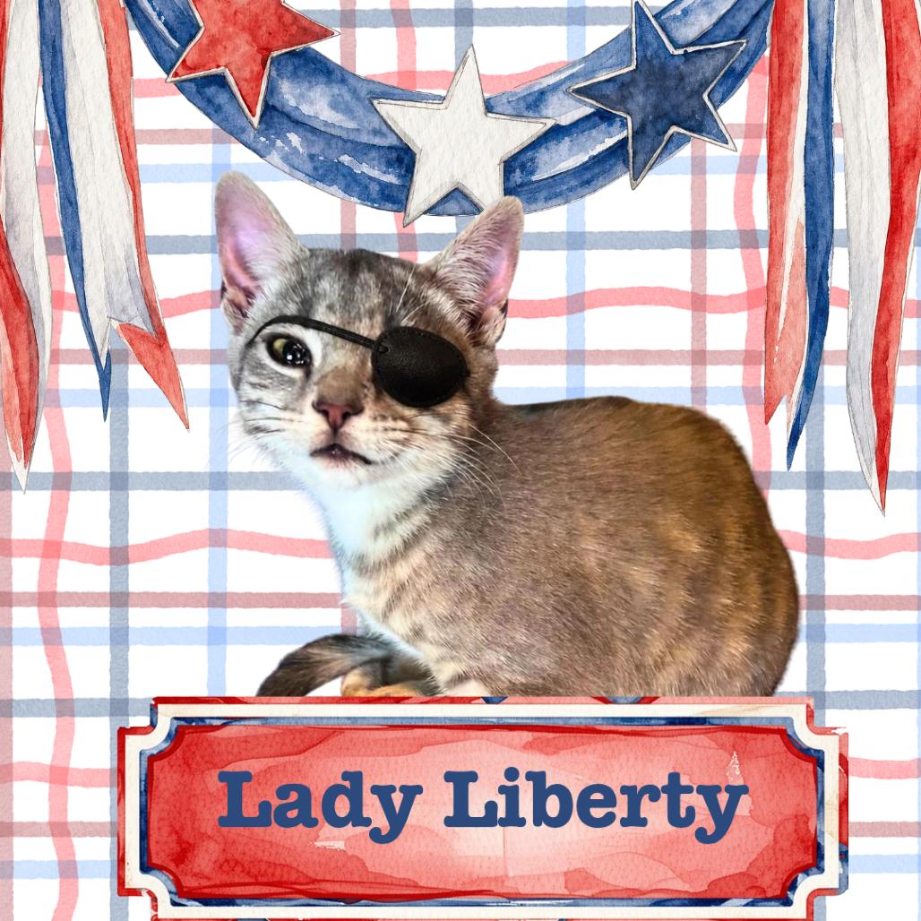 Lady Liberty photo