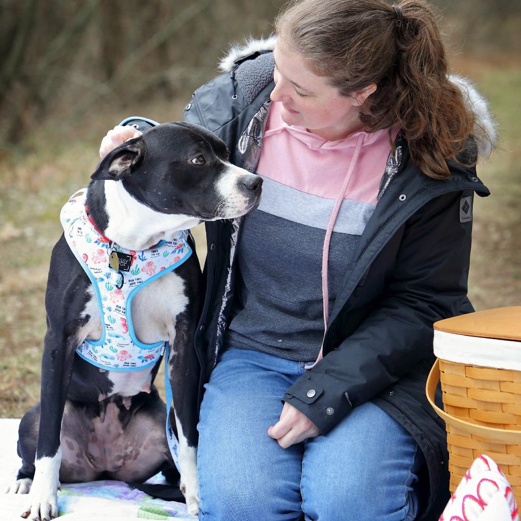 Promise — thumbnail 6